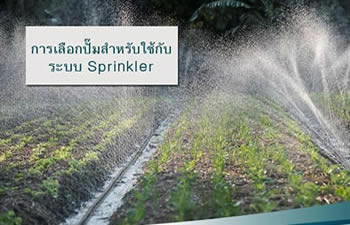 sprinkler